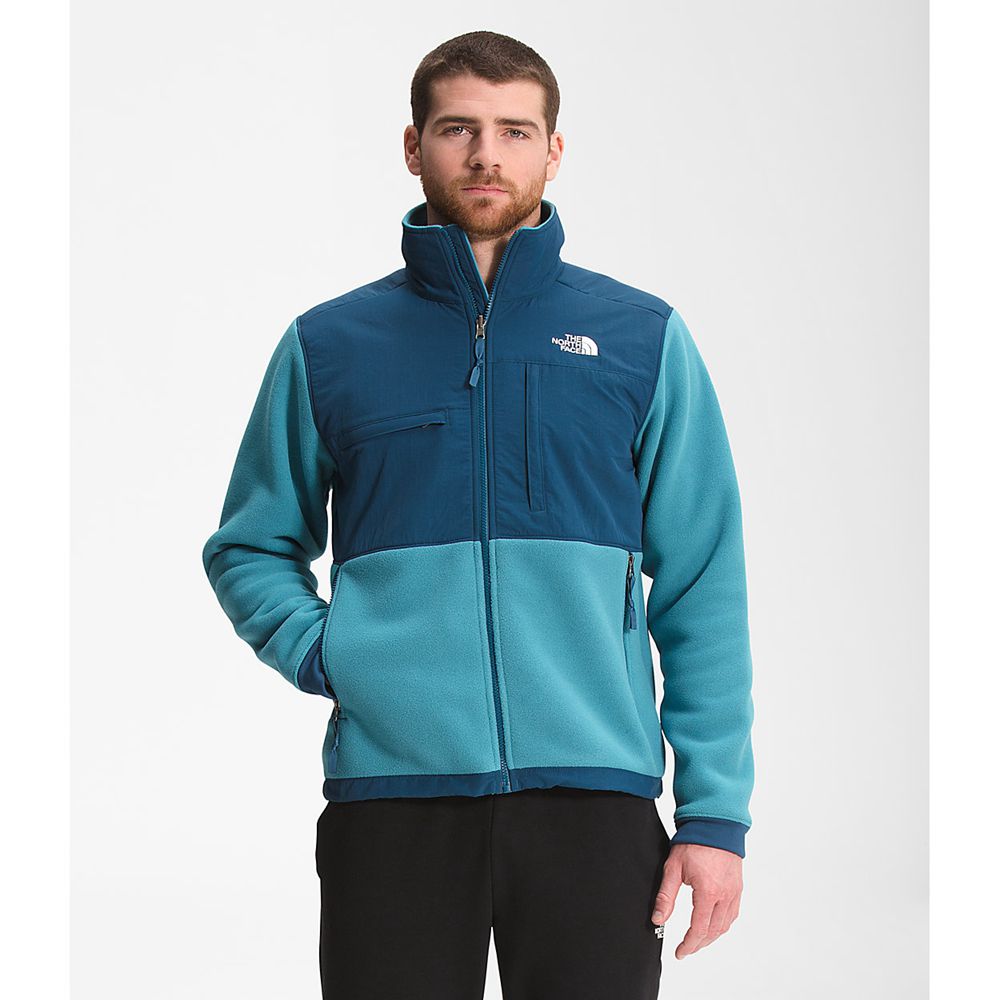 The North Face Fleece Jacket Mens Australia - The North Face Denali 2 Blue Snow (TQL-630295)